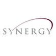 Synergy Partners International